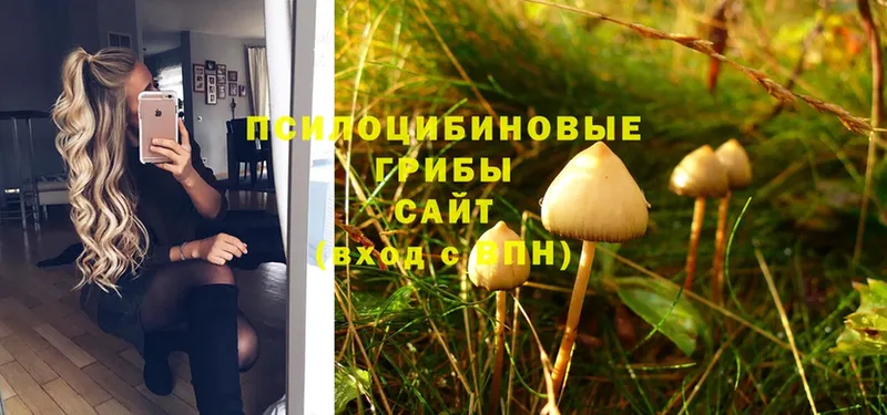 mega сайт  Лобня  Псилоцибиновые грибы MAGIC MUSHROOMS 