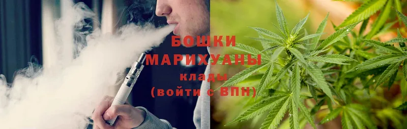 Бошки Шишки White Widow  где купить наркоту  Лобня 